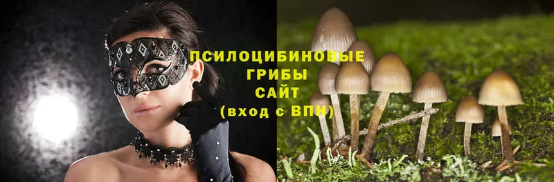 Галлюциногенные грибы MAGIC MUSHROOMS  цена   Ялта 